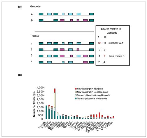 AceView: gene:noypu, a comprehensive annotation of human, .